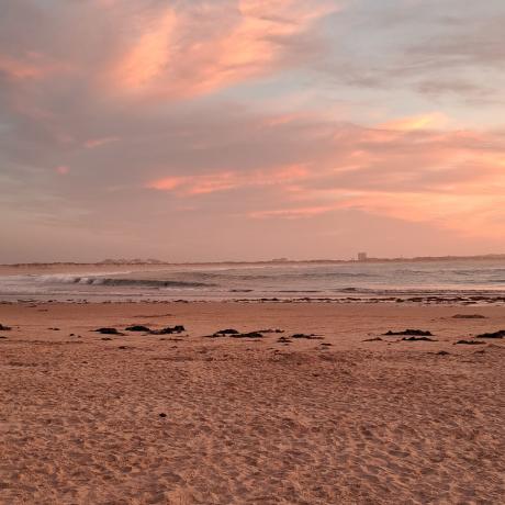 /sites/default/files/styles/fotos_square/public/2024-08/IMG-20240725-WA0000.jpg?itok=BzxBuUS6